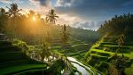 Sehenswürdigkeiten auf Bali